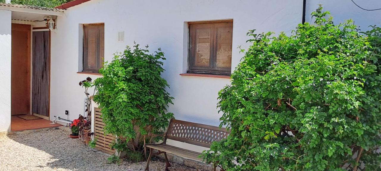 Finca Gamundi L'Ampolla Eksteriør bilde